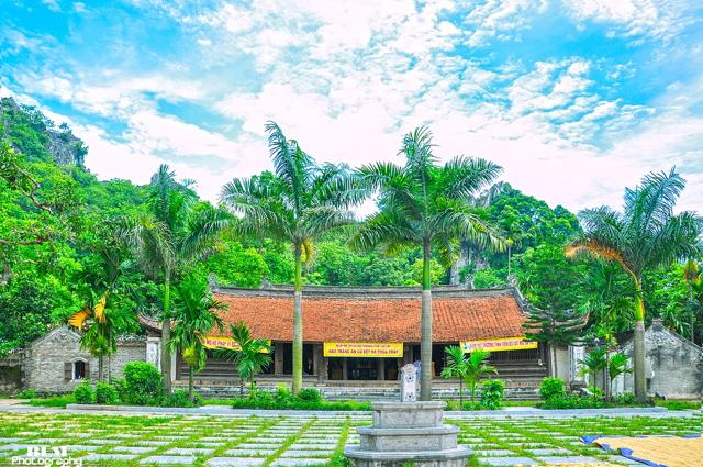 Thầy Temple